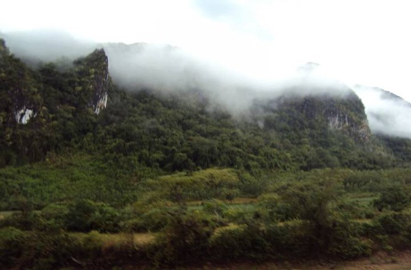 Một góc nhìn của Khu rừng Quốc gia Phong Nha Kẻ Bàng